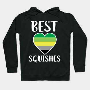 Best Squishes Aro Pride Hoodie